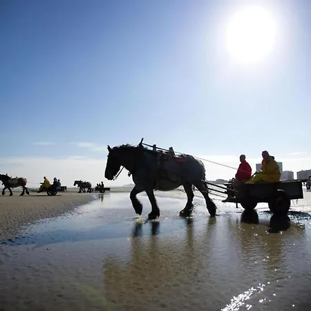 In Near The Nieuwpoort