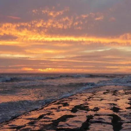 In Near The * ニーウポールト