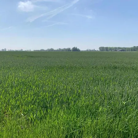 In Near The Lejlighed *