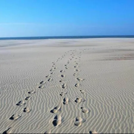 Lejlighed In Near The *