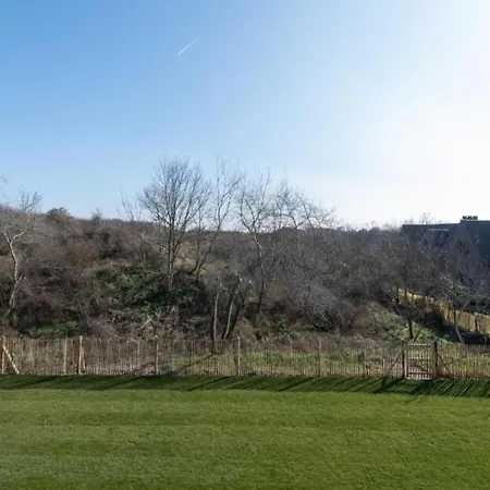 In Near The ニーウポールト