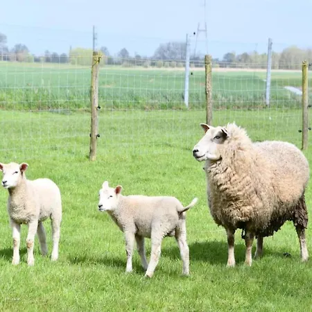 In Near The Lejlighed