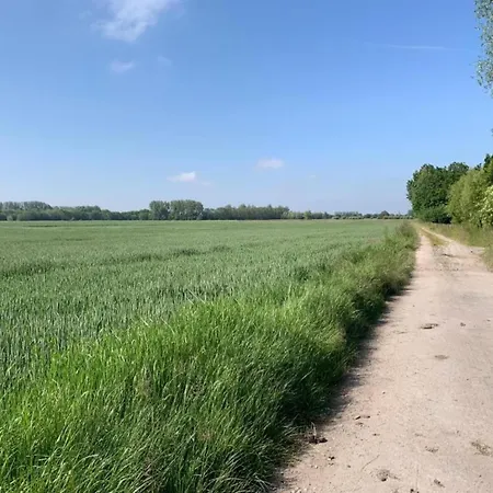 Lejlighed In Near The