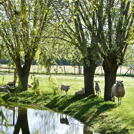 In Near The Lejlighed *